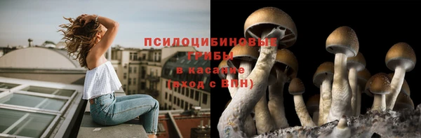 герыч Аркадак