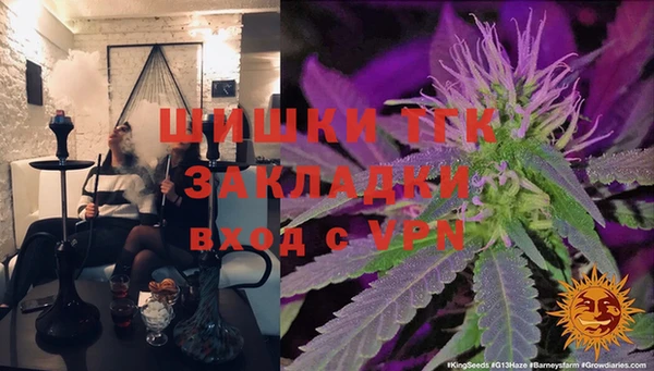 тгк Арсеньев
