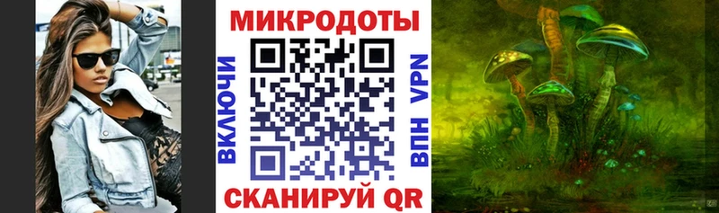 shop официальный сайт  Верхний Тагил  Галлюциногенные грибы мухоморы  закладка 